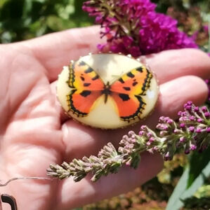 Vintage butterfly enamel‎ brooch